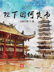 史官：陛下因何焚书？